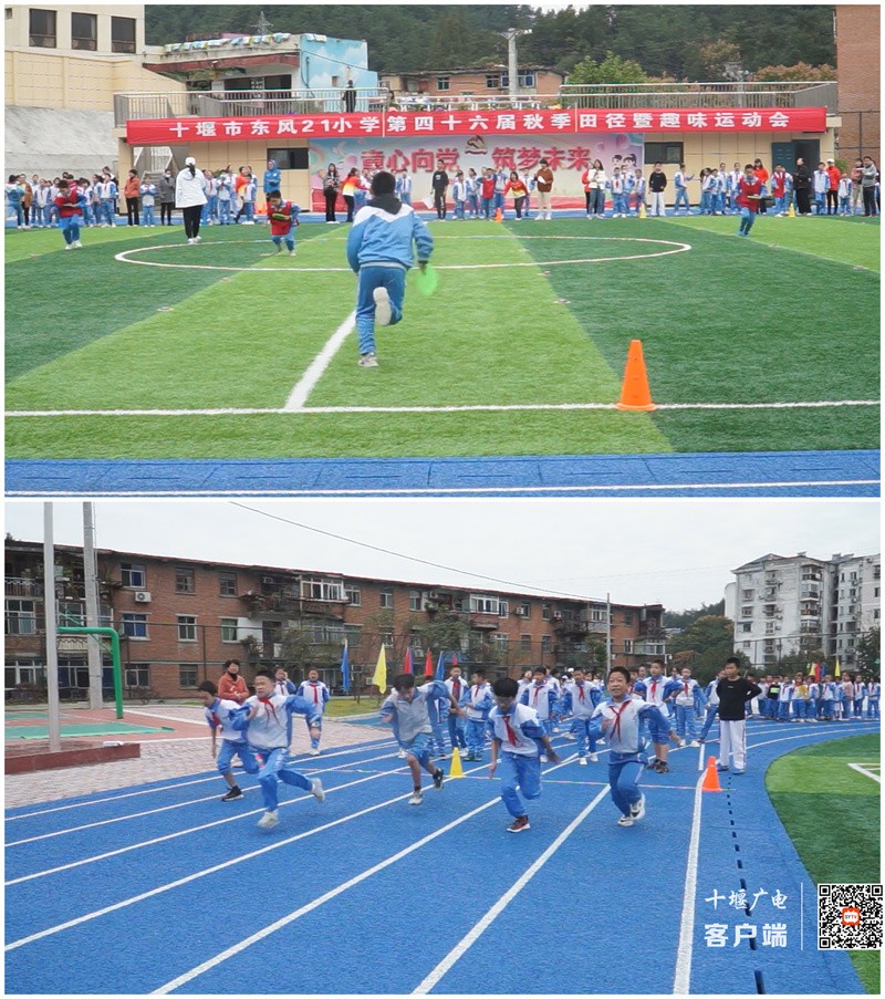 微信图片_20211022220543_副本
