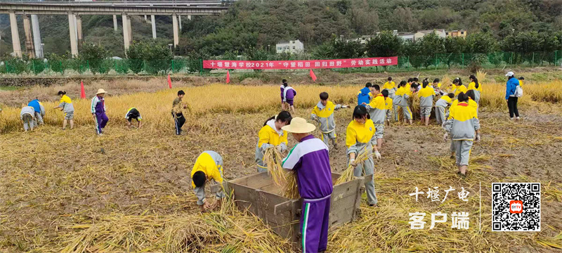 微信图片_20211023190012