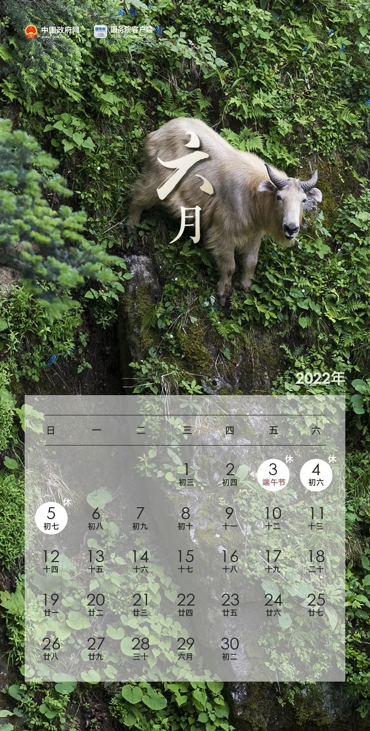 640.webp (9)