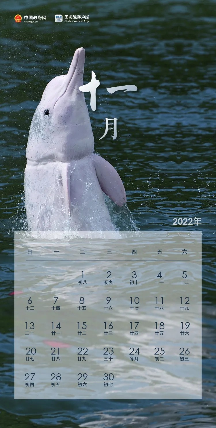 640.webp (14)