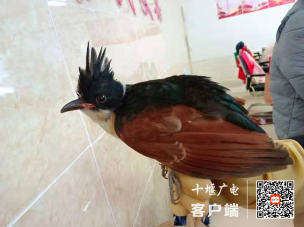 360截图20211026205506852_副本