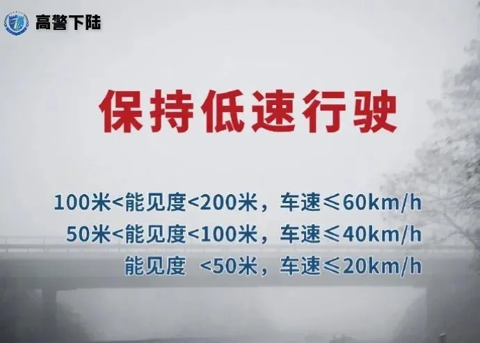 13.webp