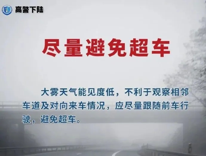 15.webp