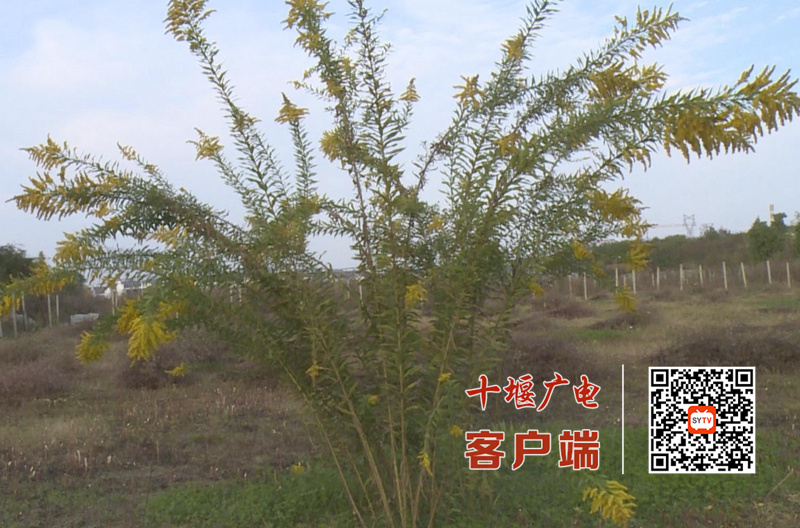 50_副本_副本