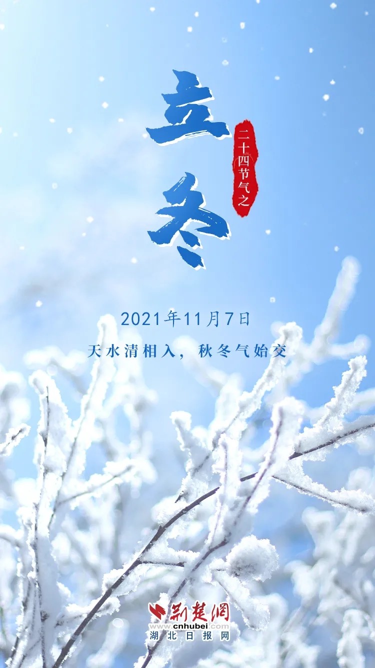 640.webp (4)
