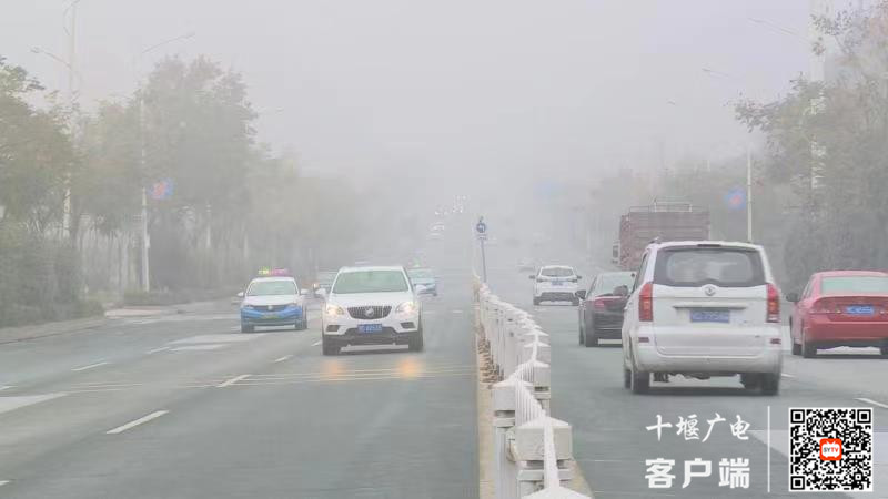 微信图片_20211106132051_副本_副本