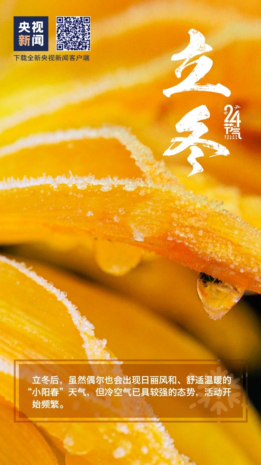 15.webp