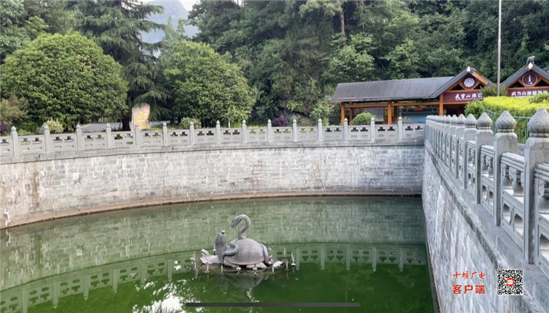 图片6
