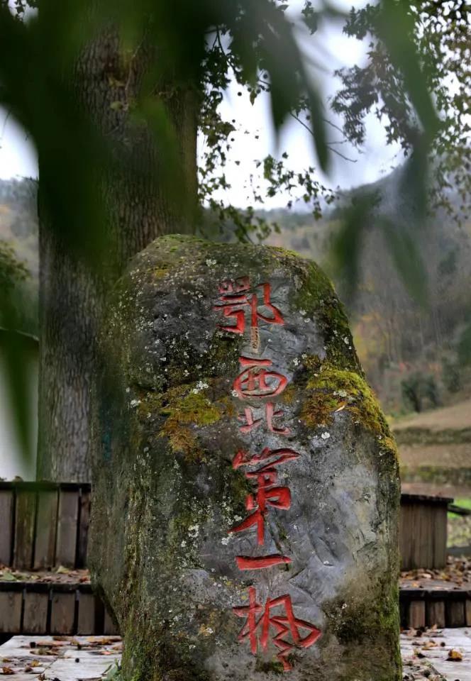 微信图片_20211112092459
