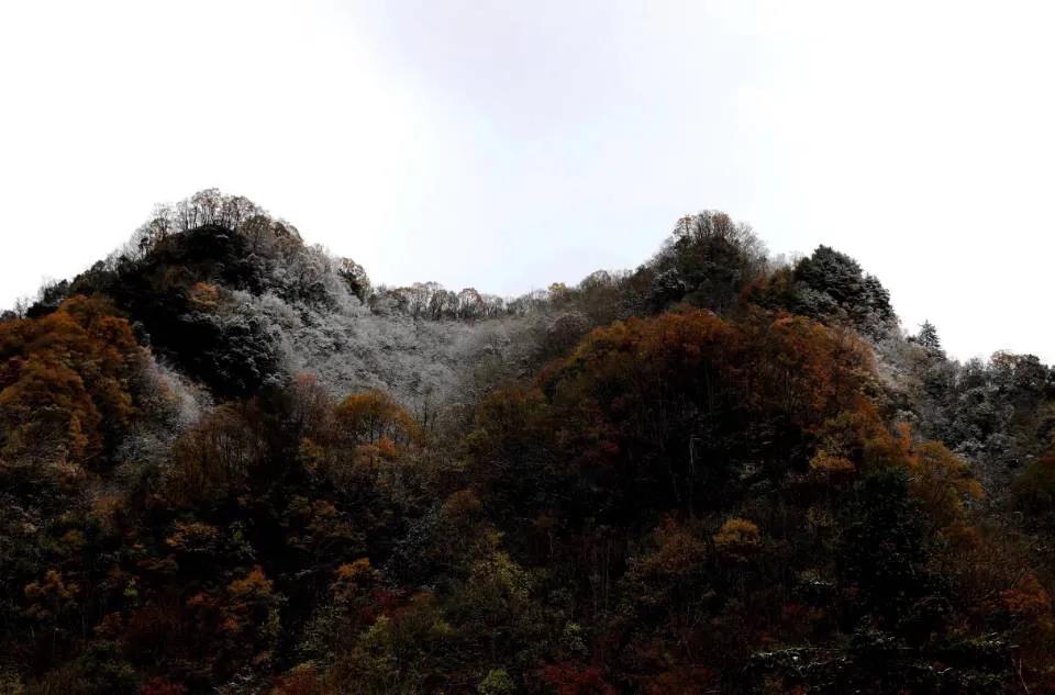 微信图片_20211112094126