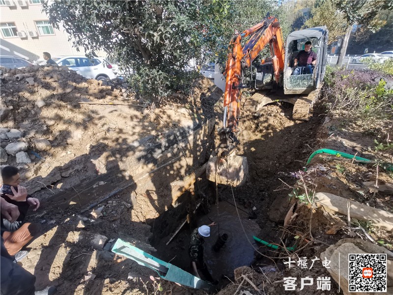 QQ图片20211114114243_副本_副本