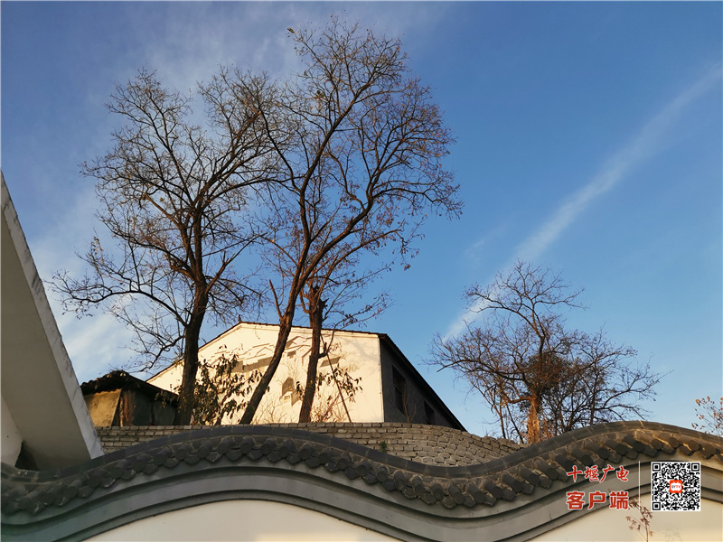 微信图片_20211123091331
