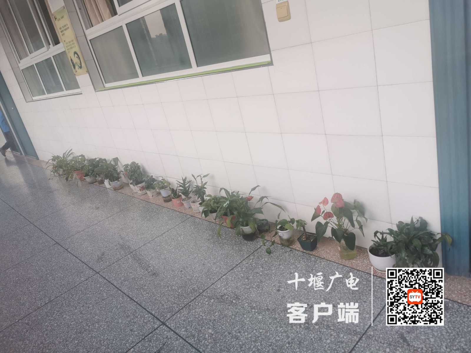QQ图片20211124170402_副本