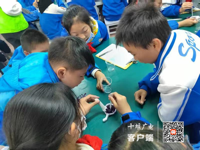 微信图片_20211125220414_副本