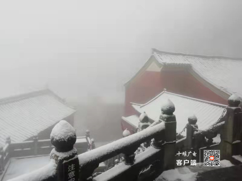 微信图片_202112111009292_副本