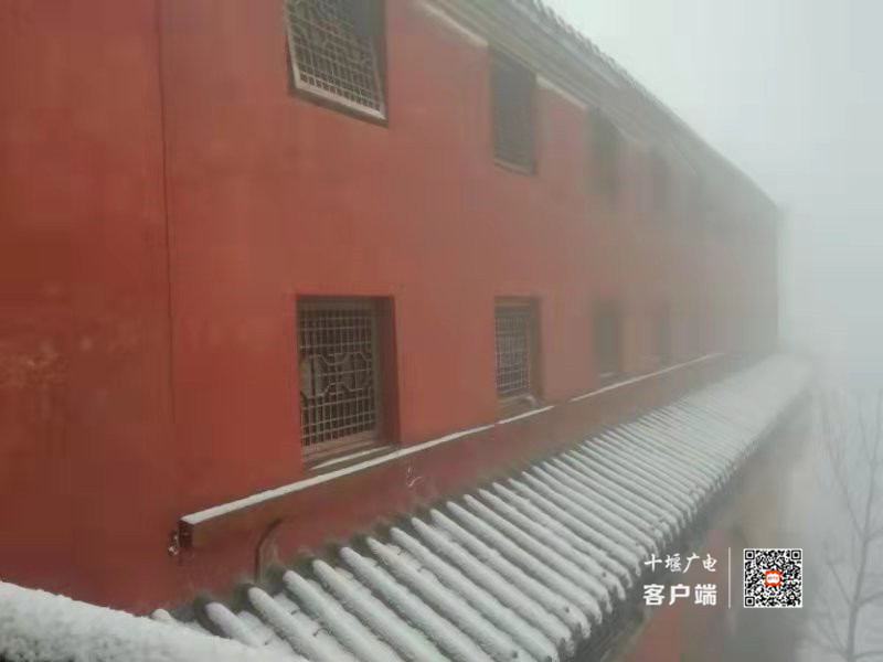 微信图片_20211211100929_副本