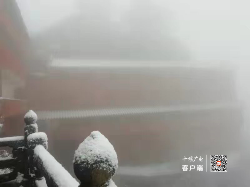 微信图片_202112111009293_副本
