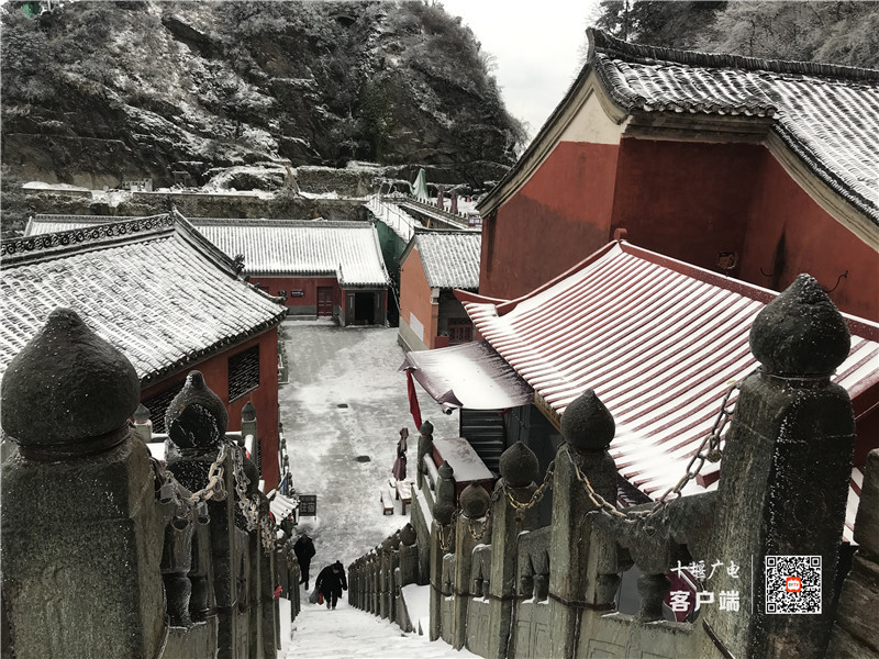 微信图片_202112111009296