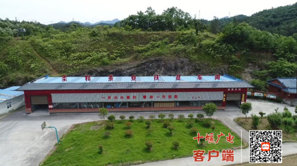 360截图20211213183008319_副本