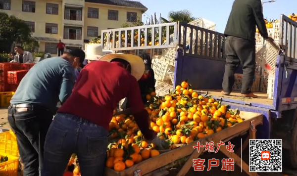 360截图20211213183044295_副本