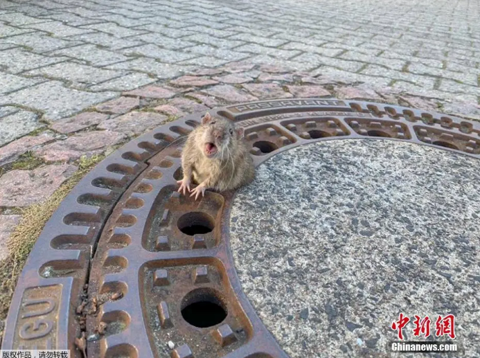 QQ截图20211219170931