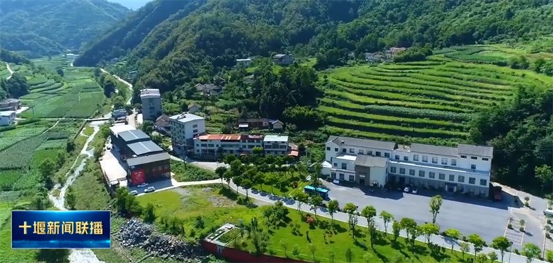 QQ截图20211223192605