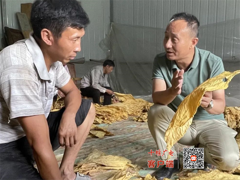 微信图片_20211229155613
