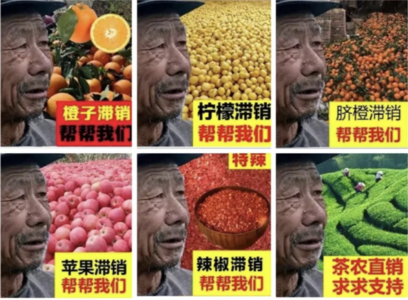 QQ截图20211230143706
