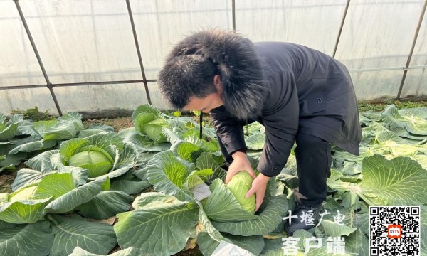 5_副本