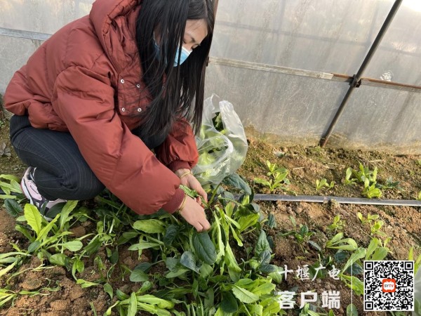 2_副本