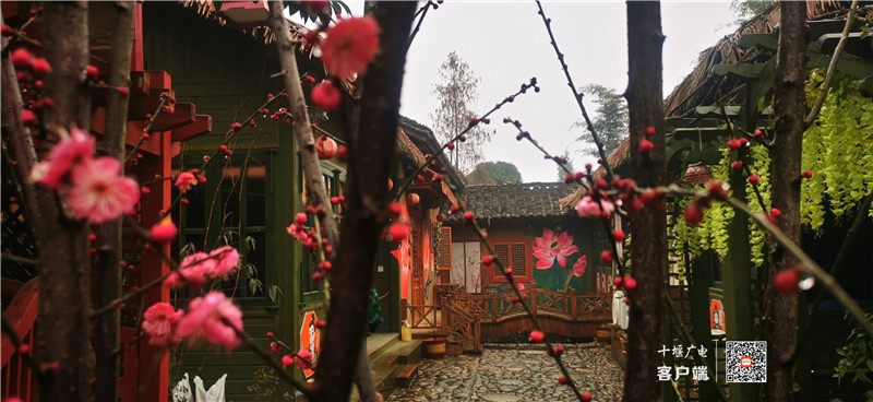 微信图片_2022010410285512