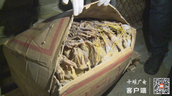 360截图20220105160849453_副本
