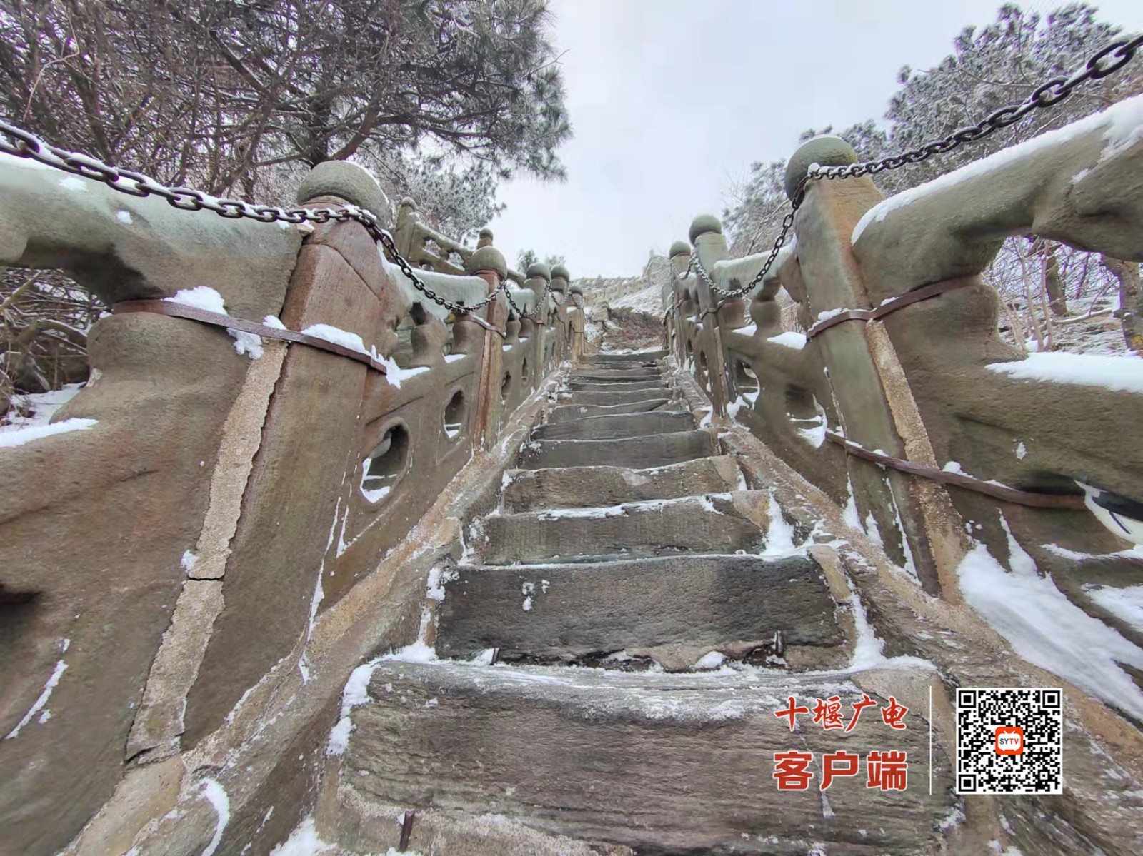 微信图片_20220114113110_副本
