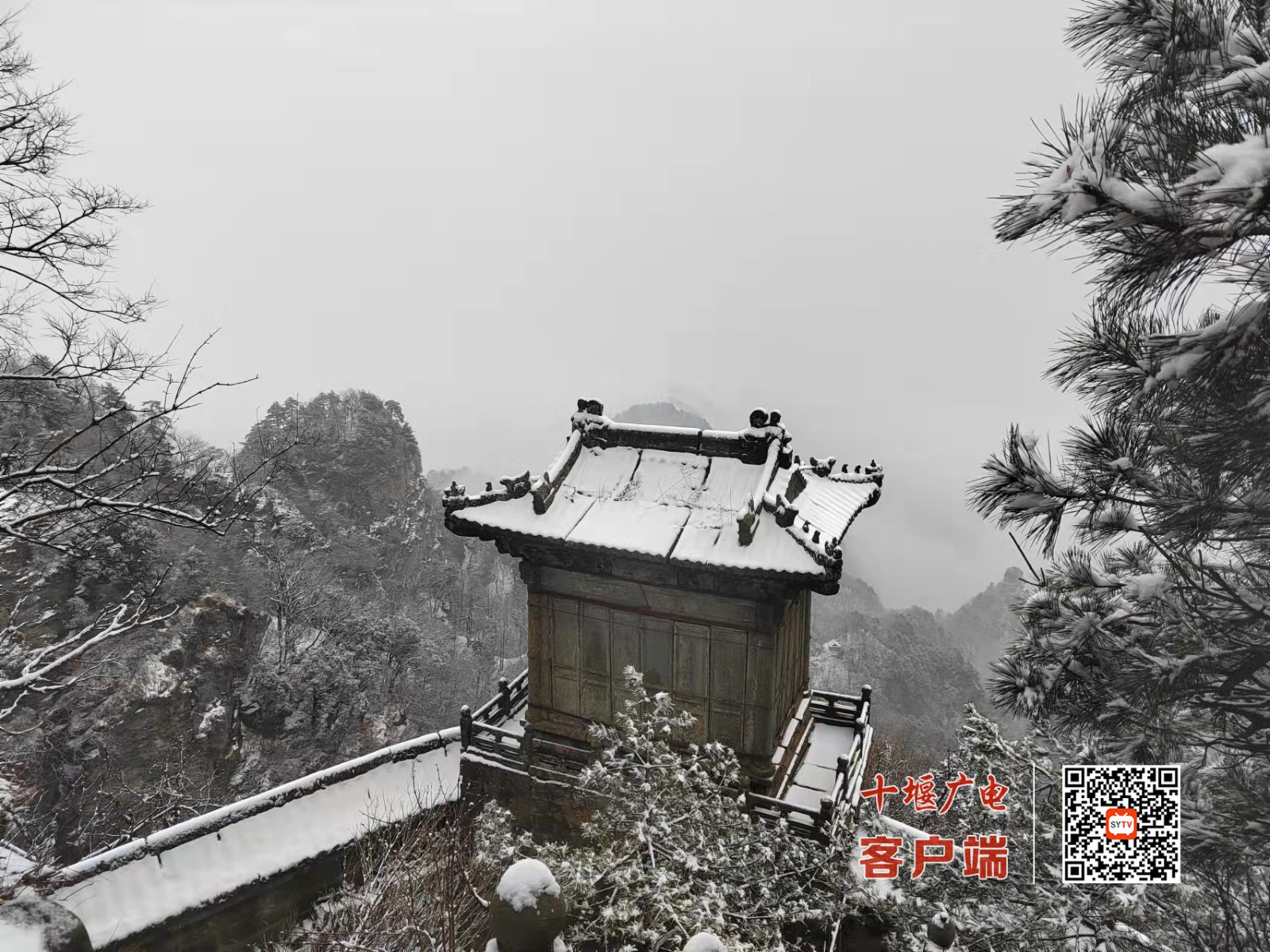 微信图片_20220114113045_副本
