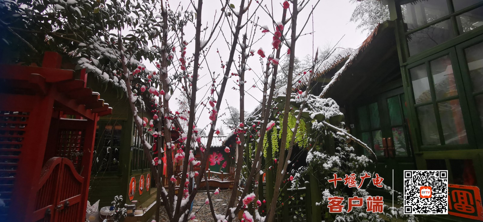 微信图片_20220114113034_副本