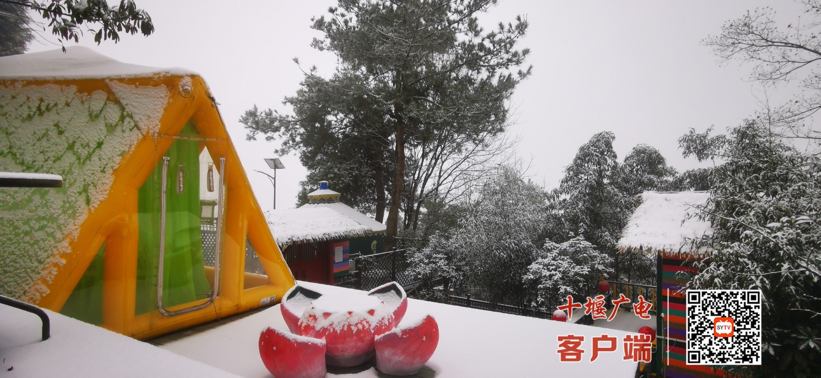 微信图片_20220114113038_副本