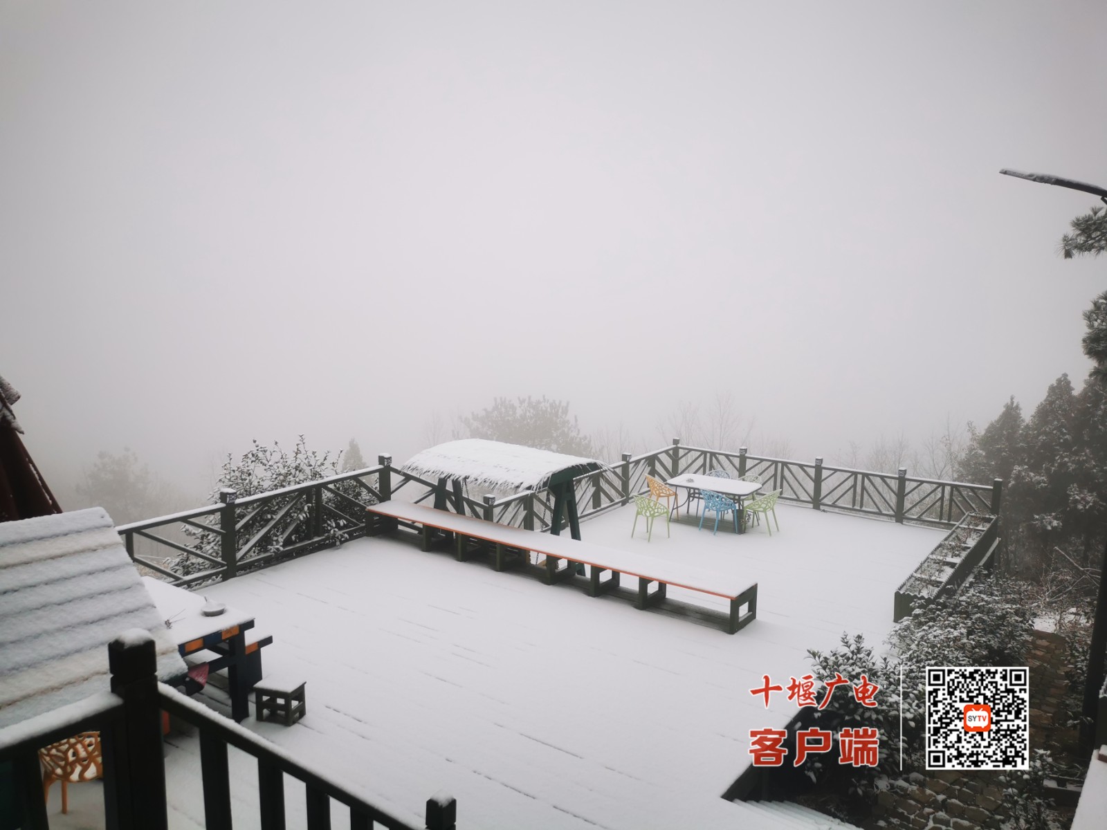 微信图片_20220114113031_副本