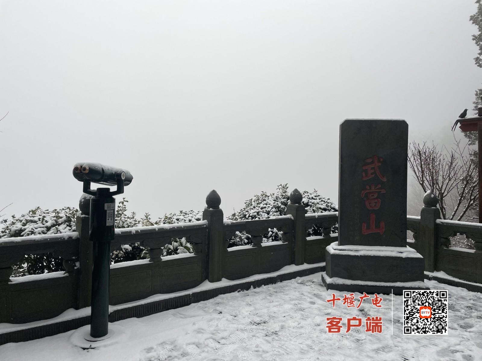 微信图片_20220114114543_副本
