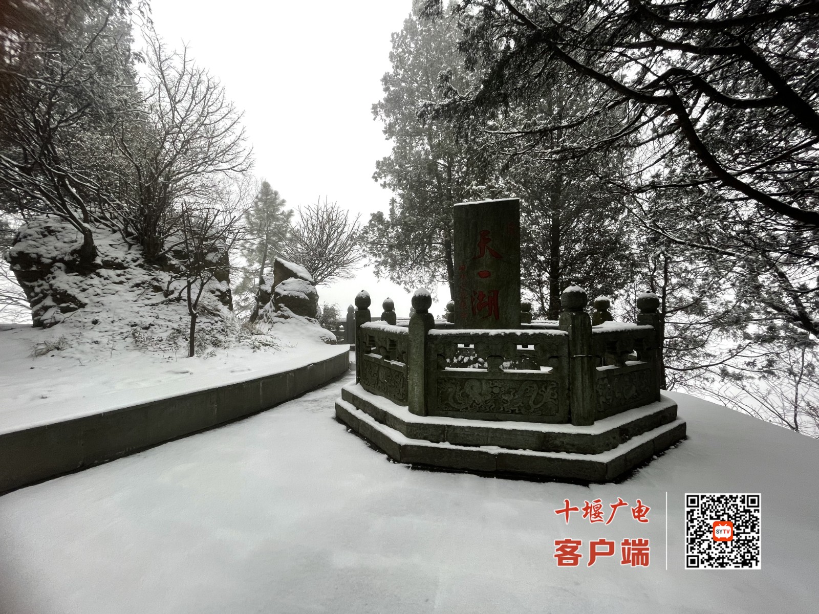 微信图片_20220114114546_副本