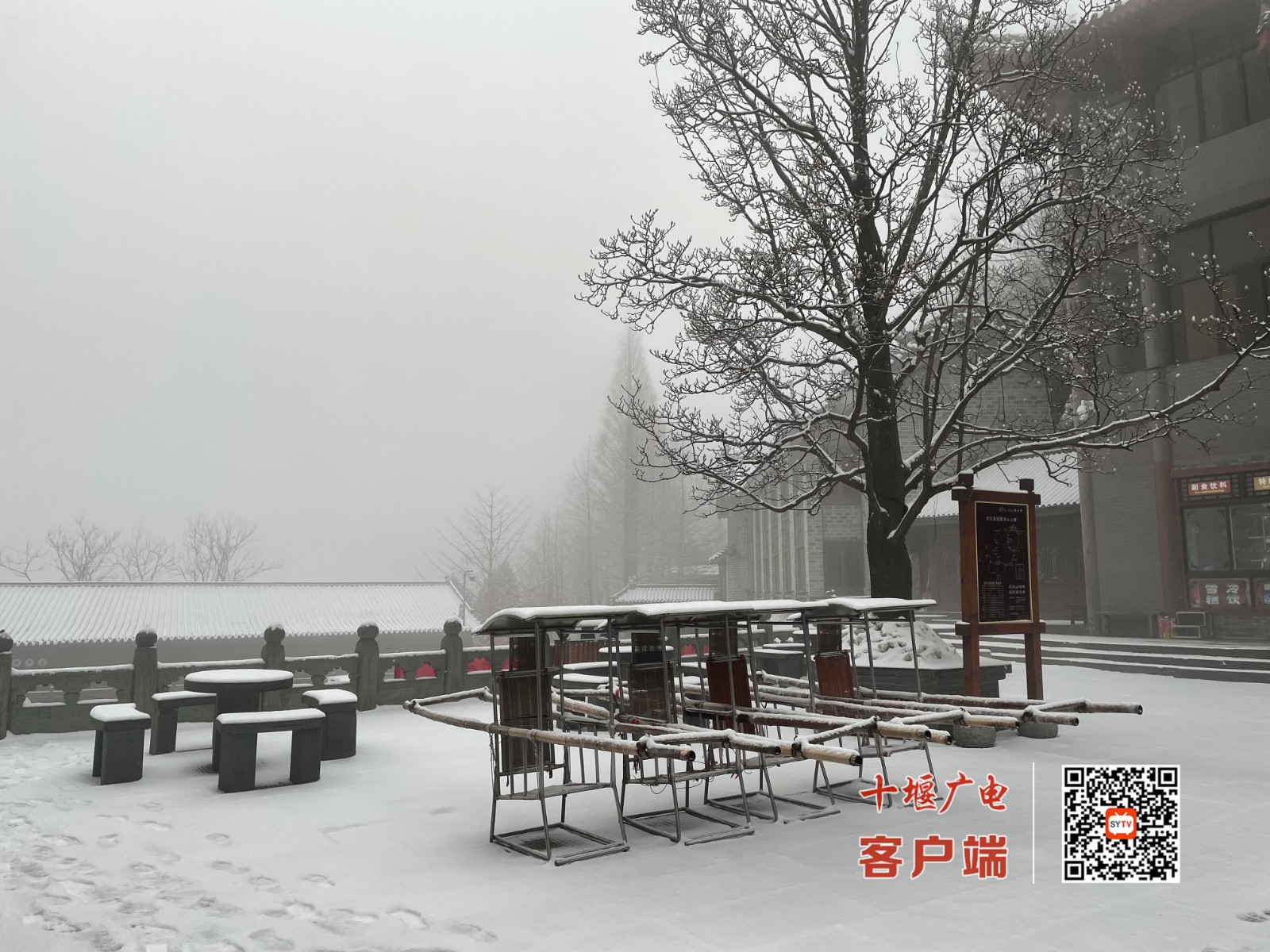 微信图片_20220114114557_副本