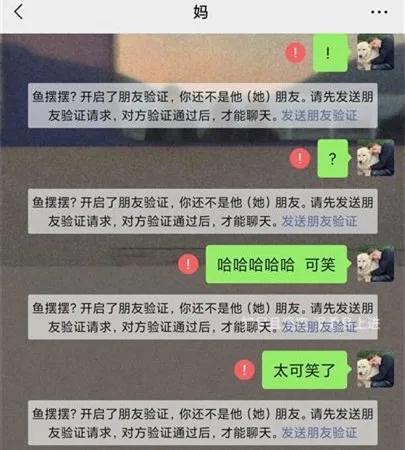 640.webp (6)
