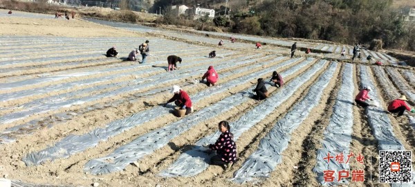 微信图片_20220126131917