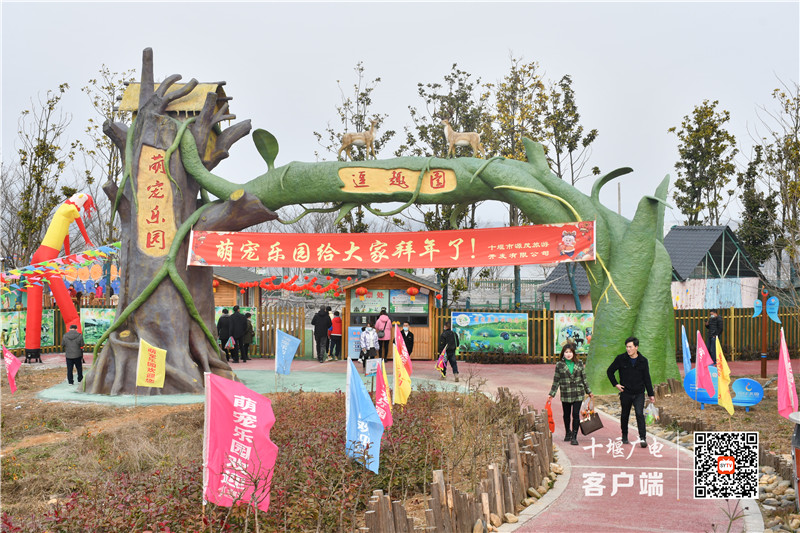 微信图片_202202021826201
