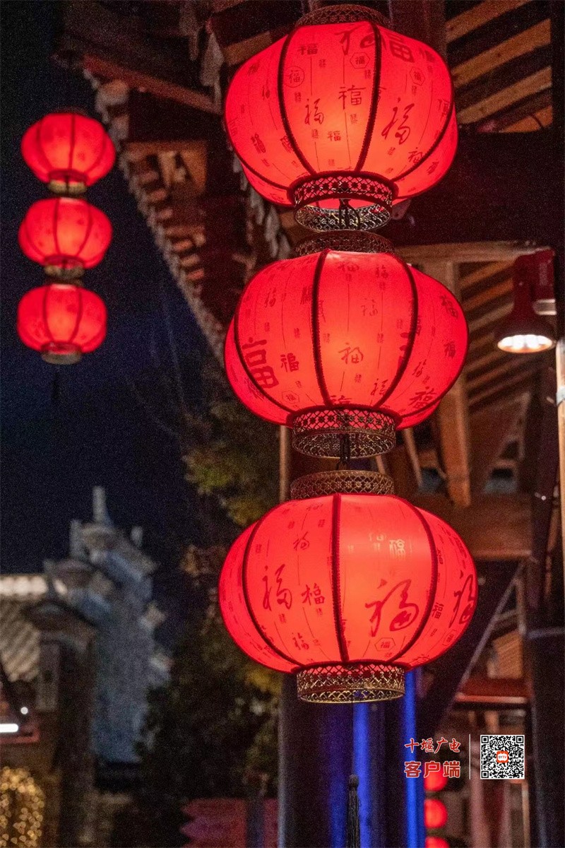 西关15
