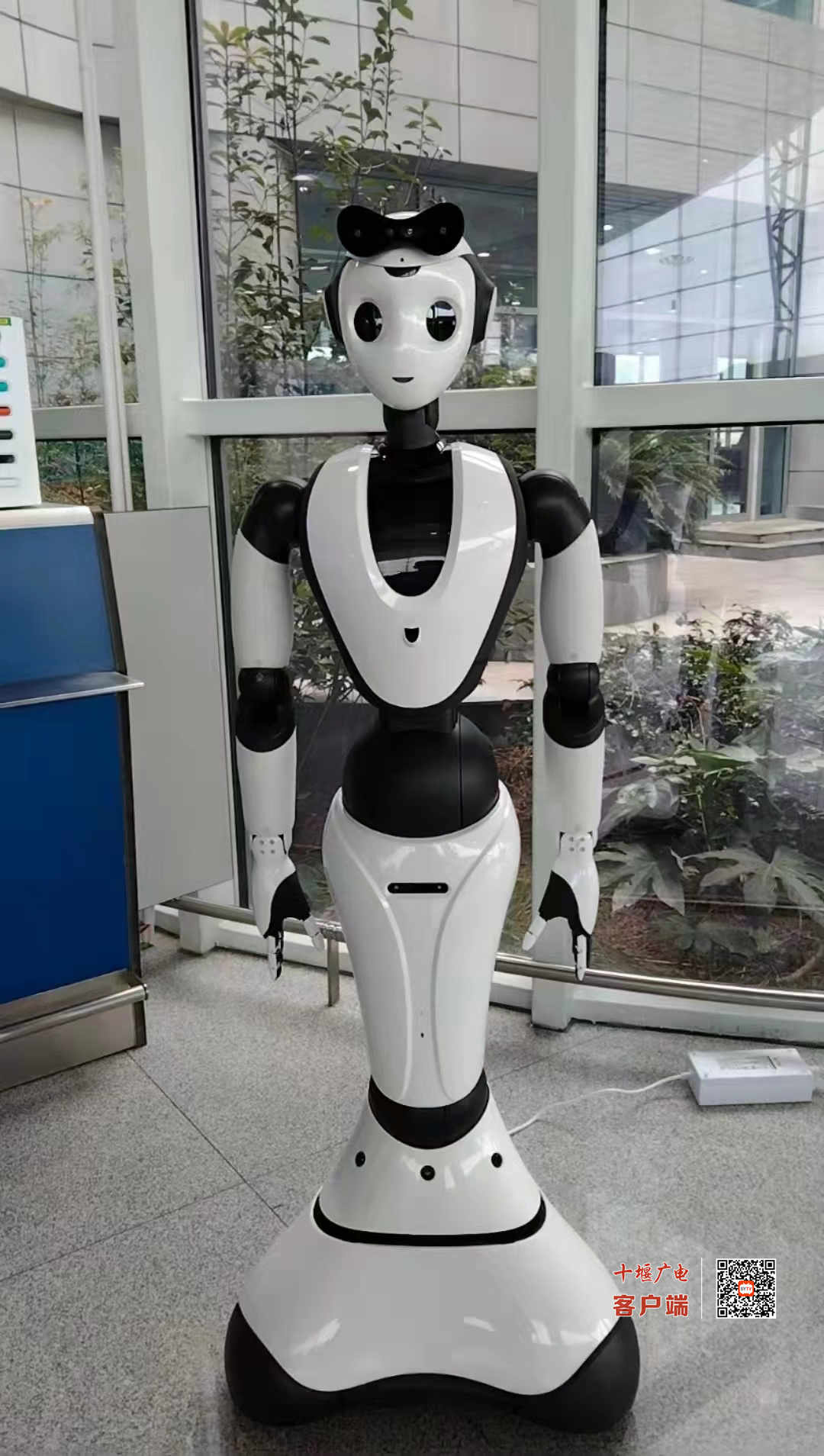 微信图片_20220206191654_副本