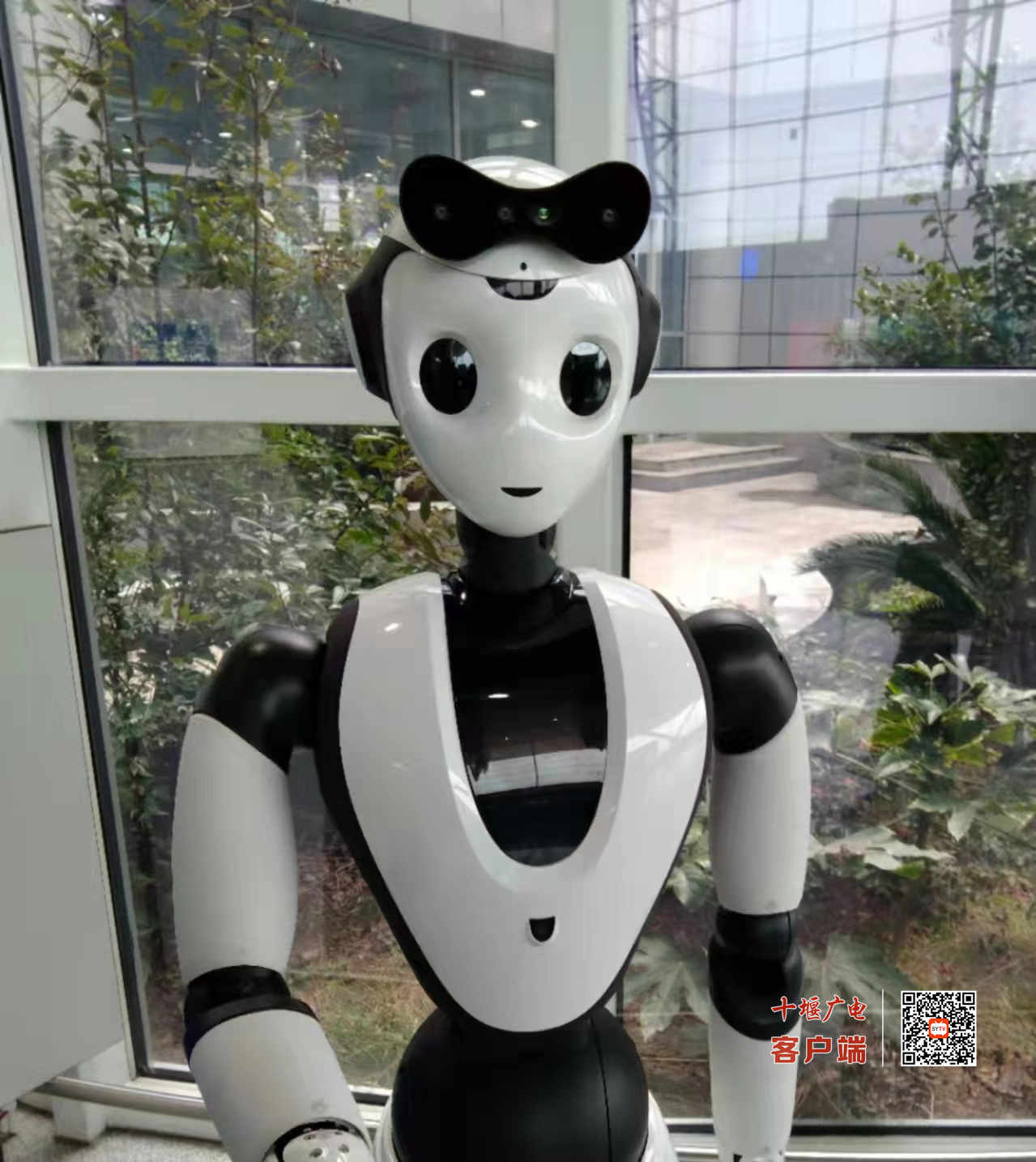 微信图片_20220206191636_副本