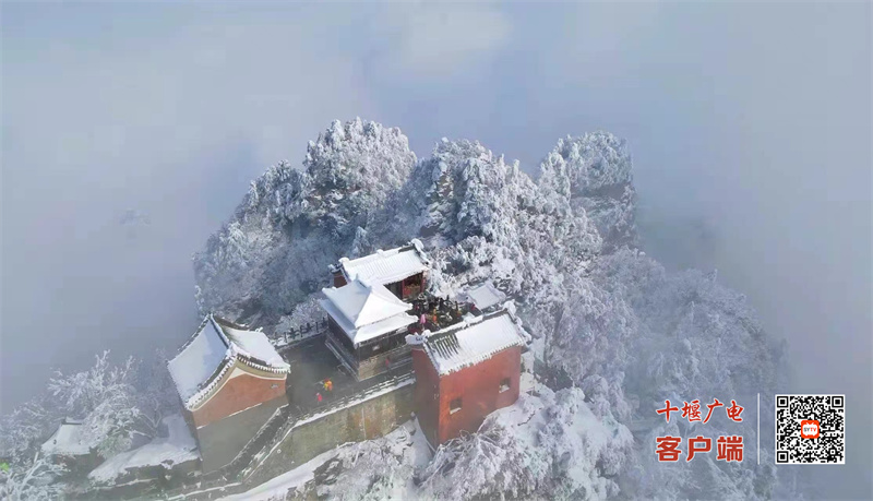 微信图片_20220208155514