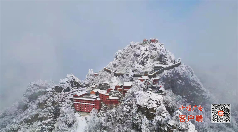 微信图片_20220208155522