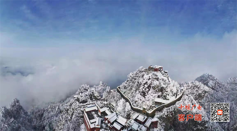 微信图片_20220208155537