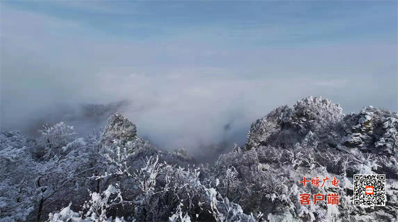 微信图片_20220208155548